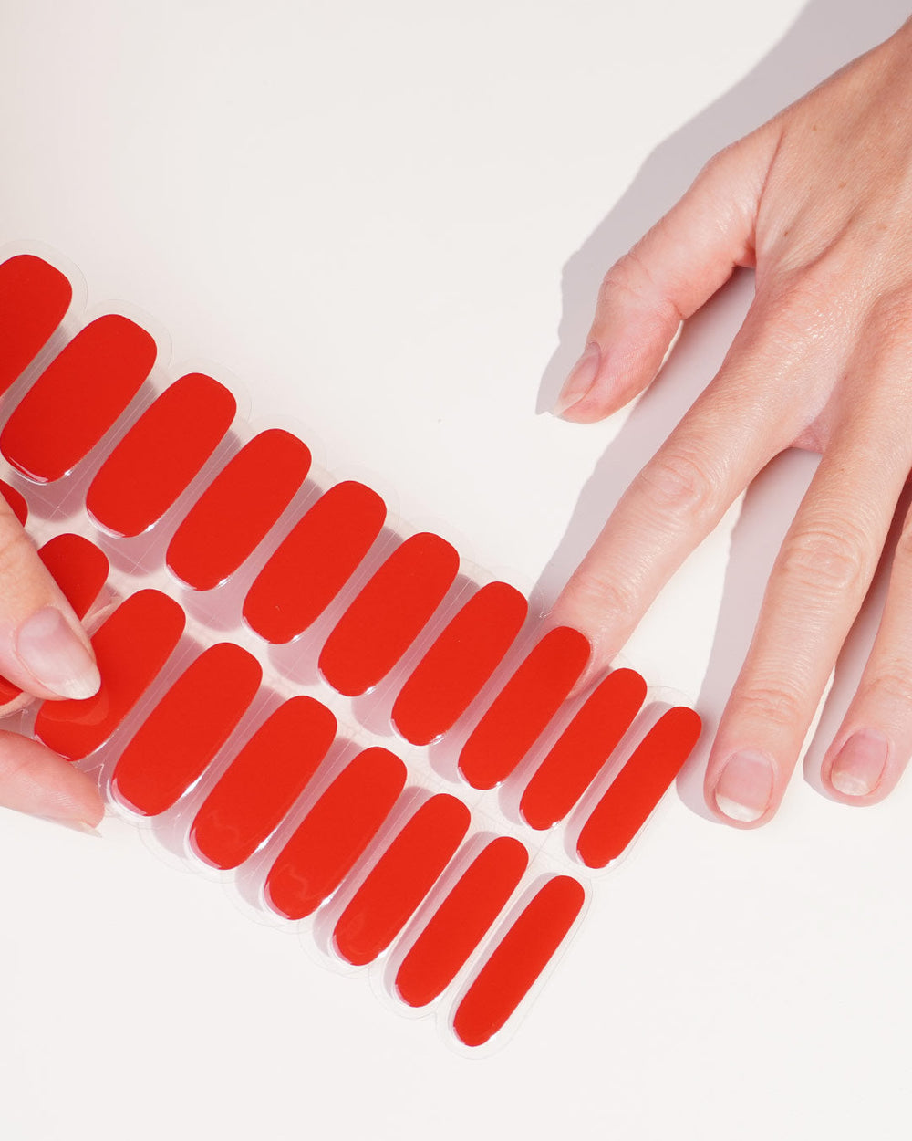 Doonails Netherlands