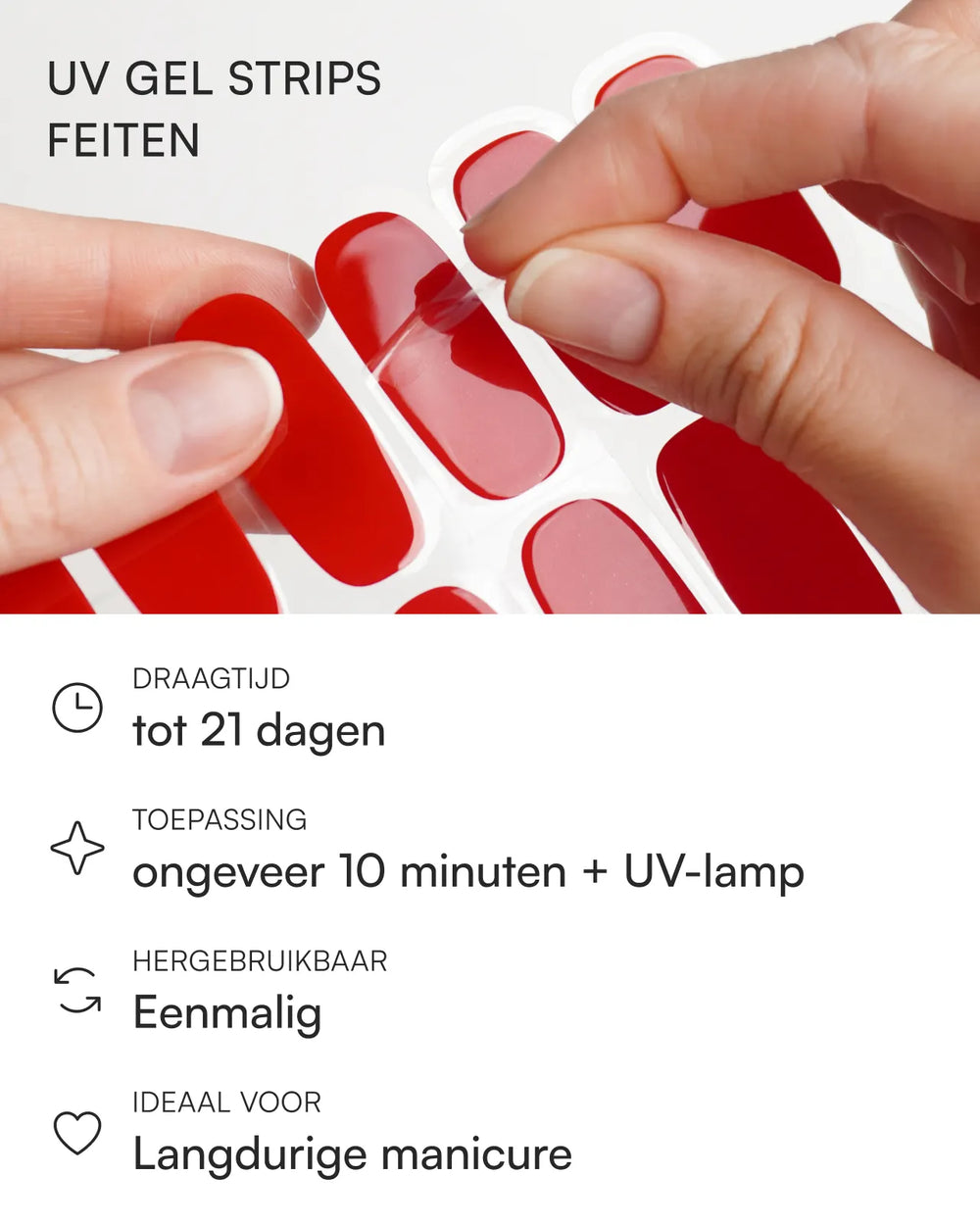 Feiten