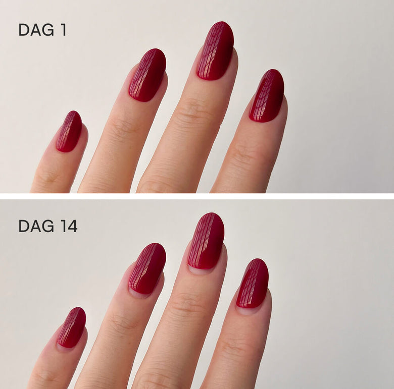 Doonails Netherlands