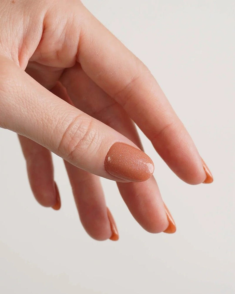 Spicy Ginger Dipping Powder - Doonails Netherlands