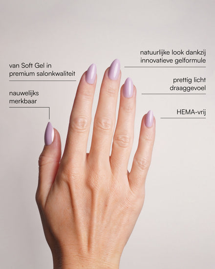 Lavender Mist