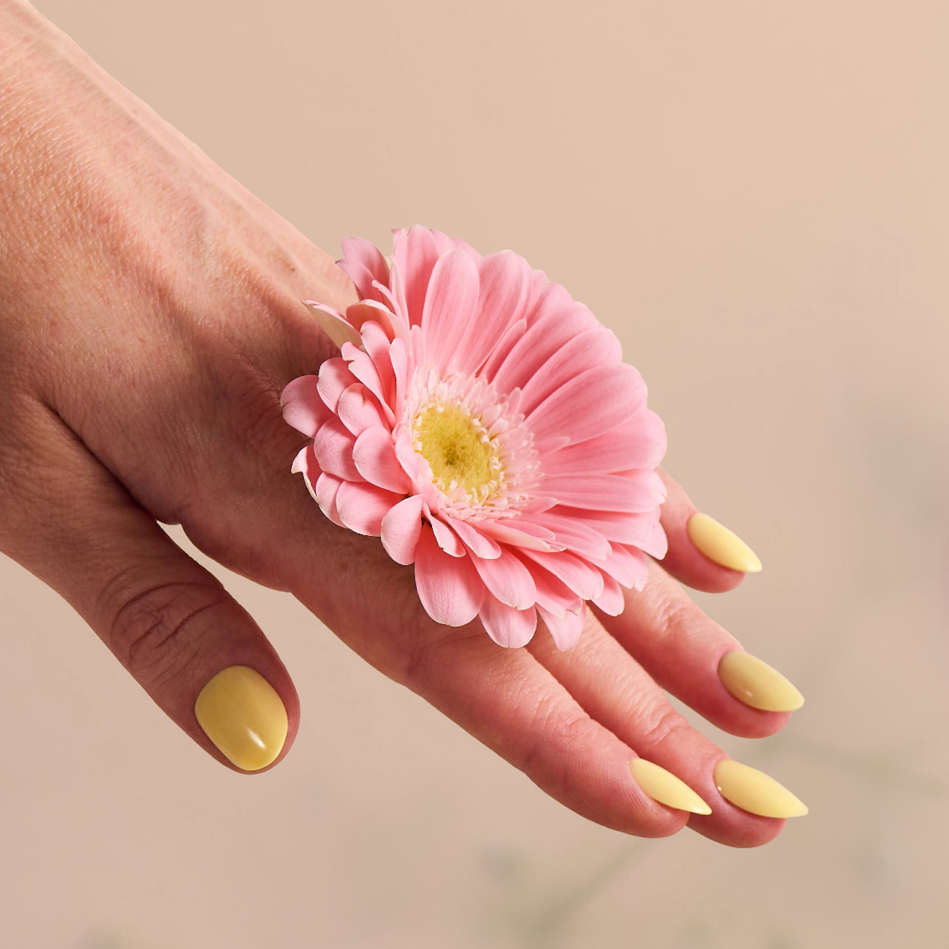 Doonails Netherlands