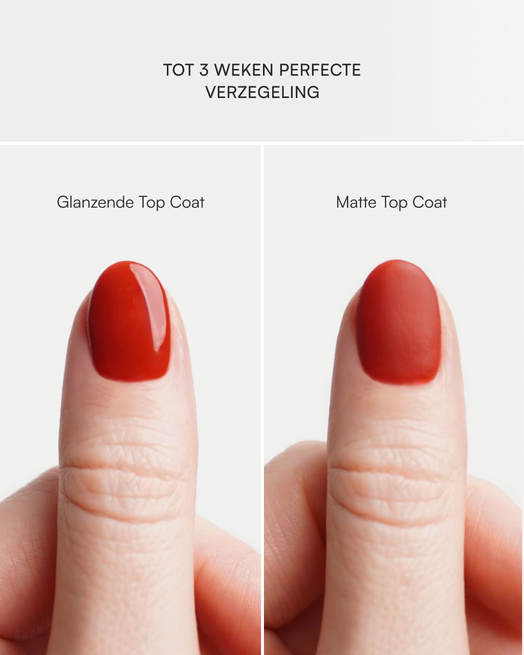 Top Coat