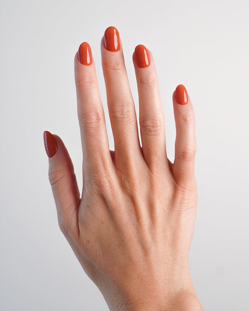 Pumpkin Pie Dipping Powder - Doonails Netherlands