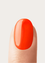 Doonails Netherlands