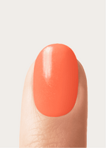 Doonails Netherlands
