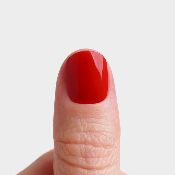 Doonails Netherlands