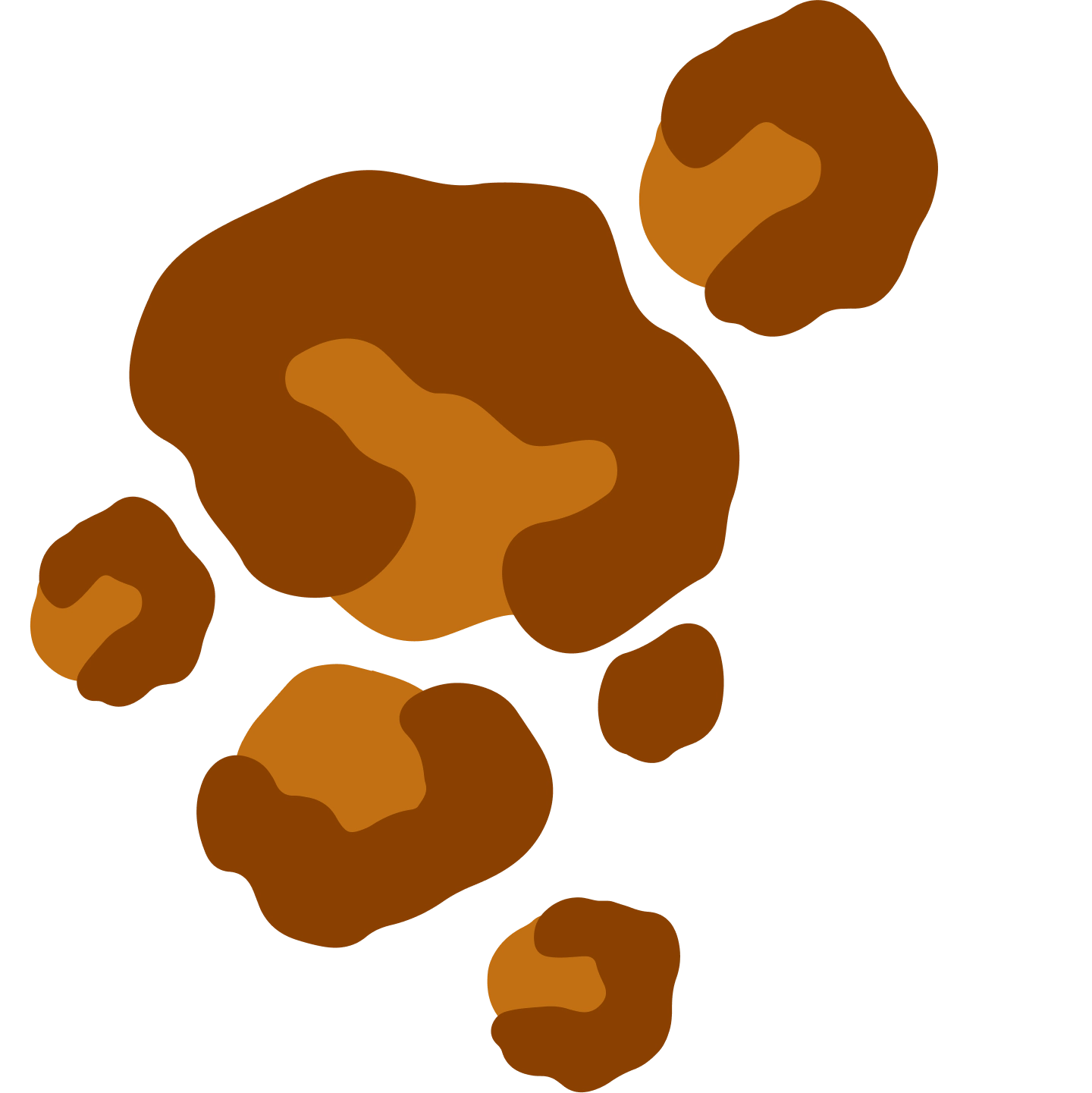 Doonails Netherlands
