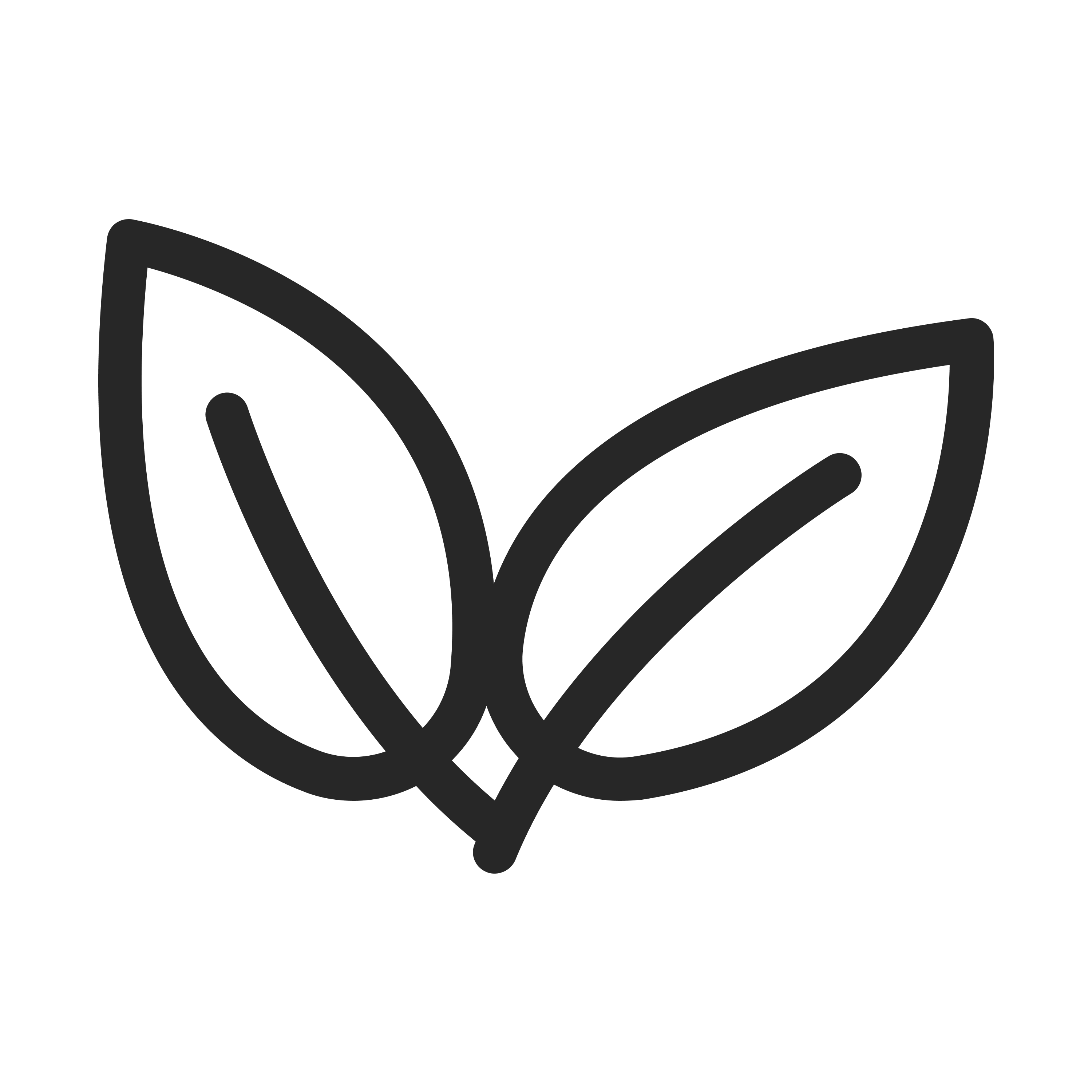 Doonails Netherlands