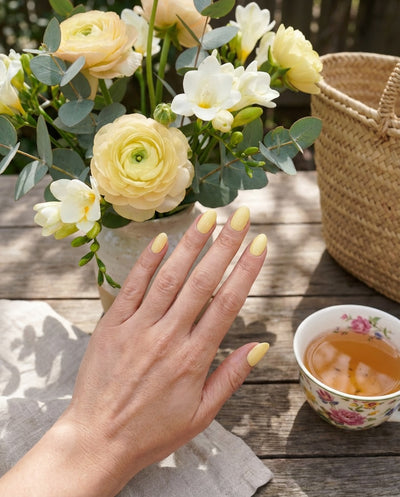 Doonails Netherlands