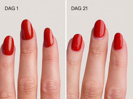 Doonails Netherlands