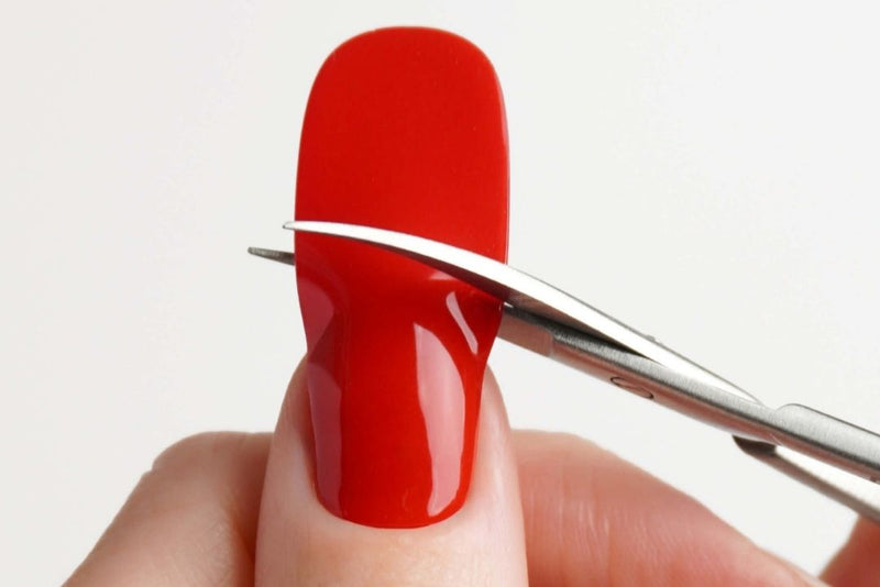 Doonails Netherlands