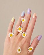 Doonails Netherlands