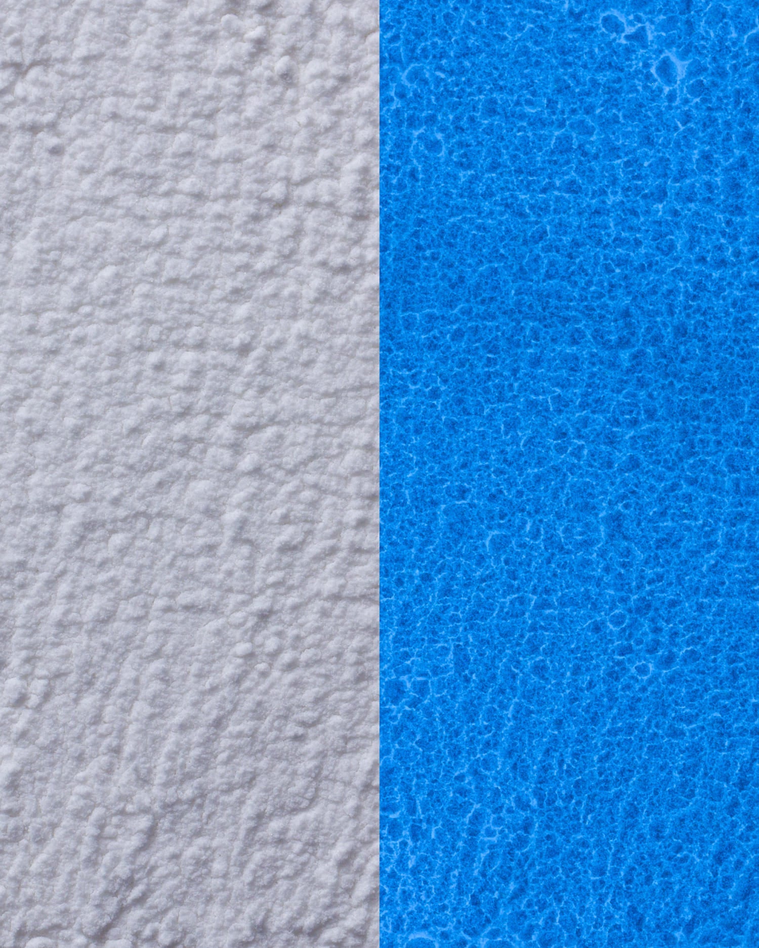 Moonlight Limited Edition