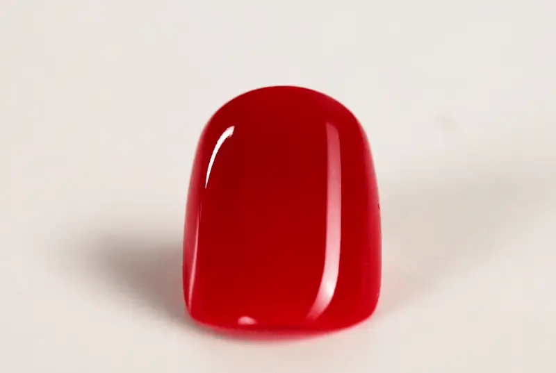 Doonails Netherlands