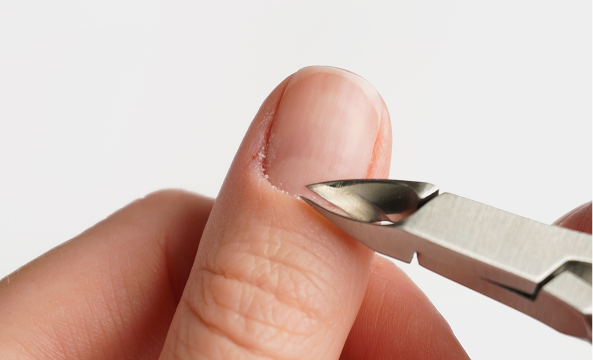 Doonails Netherlands